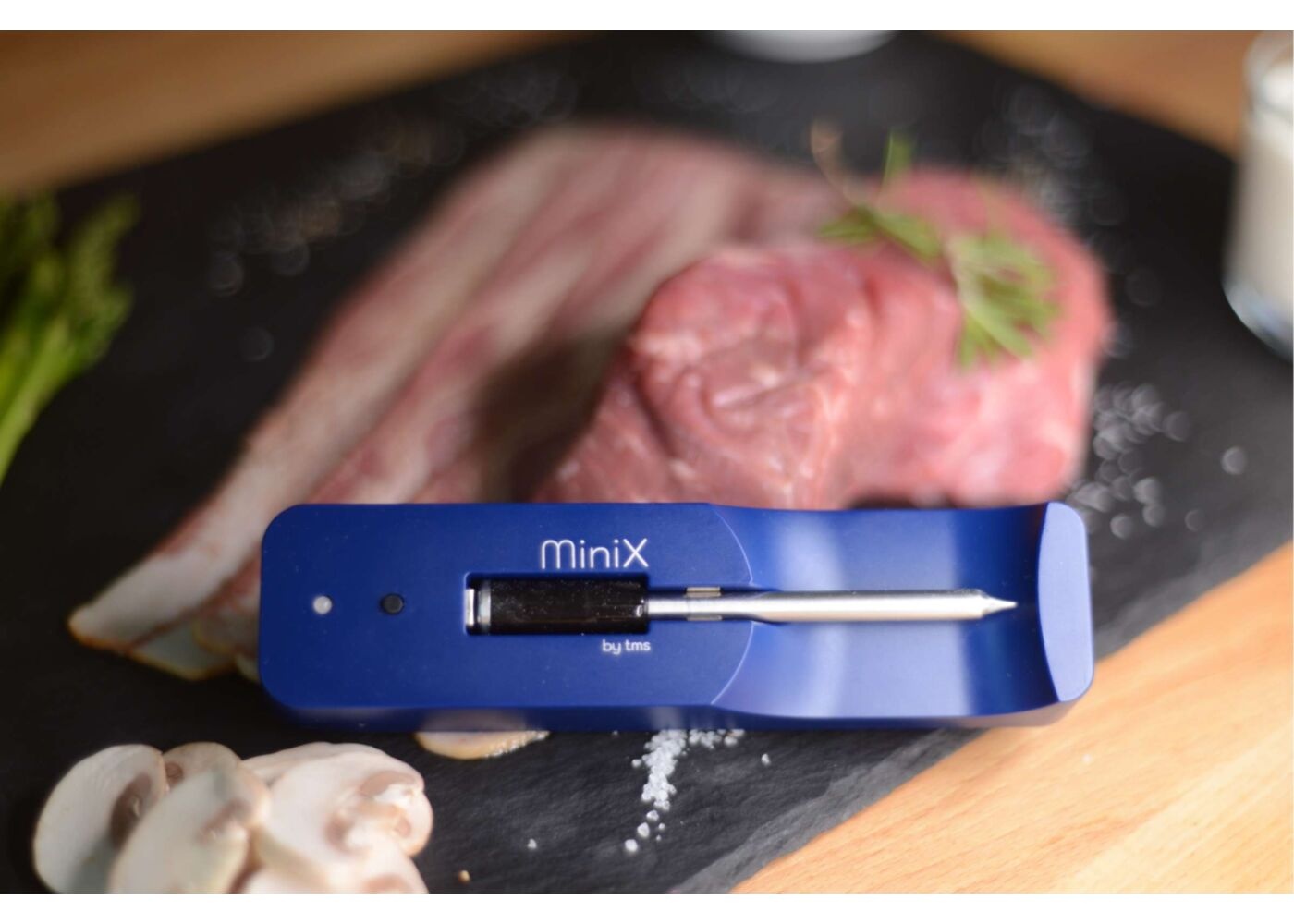 MeatStick Mini X Set - Draadloze vlees thermometer met lader