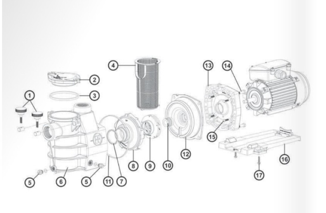 Hayward Superpool motor bevestigings bouten