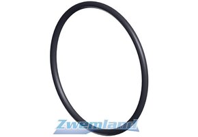Hayward Superpool II VSTD voorfilter O-Ring