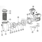 Hayward Superpool II VSTD voorfilter O-Ring