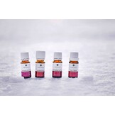 Emendo etherische olie Pepermunt 10 ml