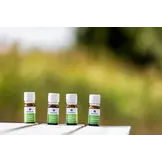 Emendo set Sauna geuren 4x10ml - Etherische olie