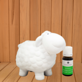 Emendo Sauna schaap met etherische olie Eucalyptus Wit