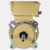 Hayward Super Pump Pro motor- diverse soorten