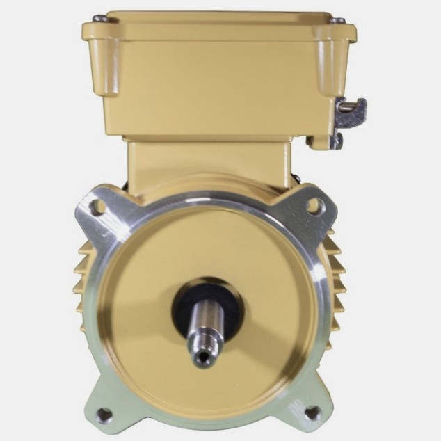 Hayward Super Pump Pro motor- diverse soorten