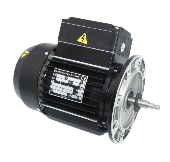 Hayward Max Flo motor - diverse soorten