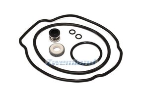 Hayward Max Flo II pomp pakking set