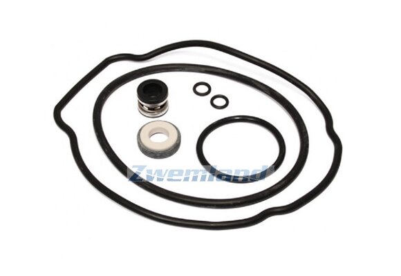 Hayward Max Flo II pomp pakking set