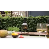 RedFire vuurhaard Sauda