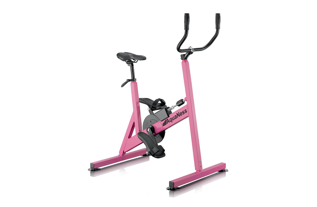 Aquaness Aquabike V4