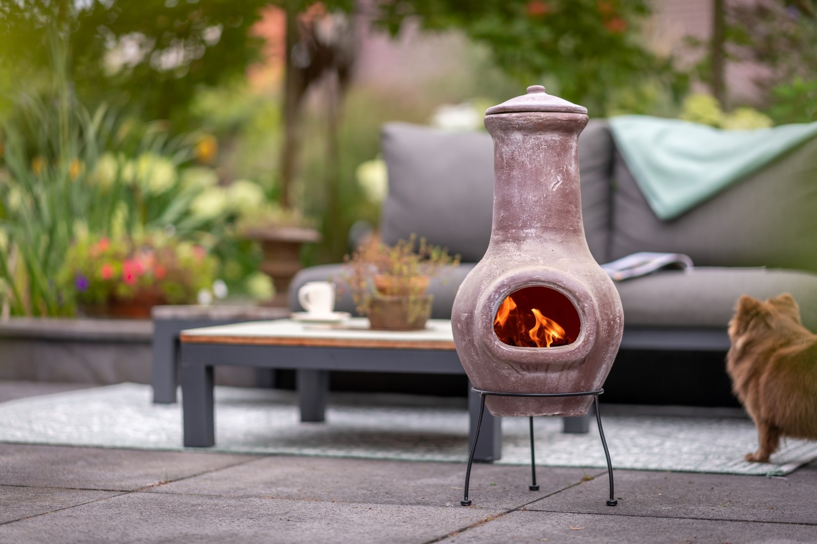 RedFire kleihaard Salamanca