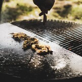 Bonfue Bongrill - Rond Grill rooster halve cirkel