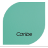 CEFIL POOL vloeibaar PVC voor classic effen folie met vernislaag