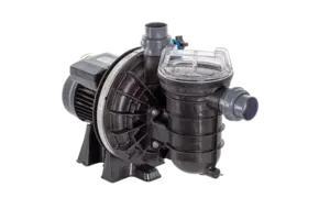 Pentair Speciale serie La Sta-Rite single speed pomp
