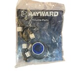 Hayward chloordoseersluis CL-200