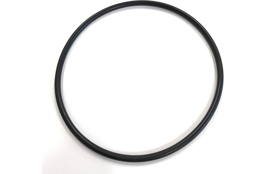 Pentair o-ring voor pomp deksel - R357255