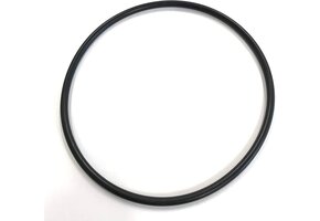 Pentair o-ring voor pomp deksel - R357255