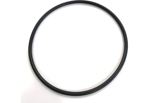Pentair o-ring voor pomp deksel - R357255