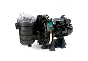 Pentair Sta-Rite Pomp 0.33Pk 220V 6m³/u - type S5P2RB-1