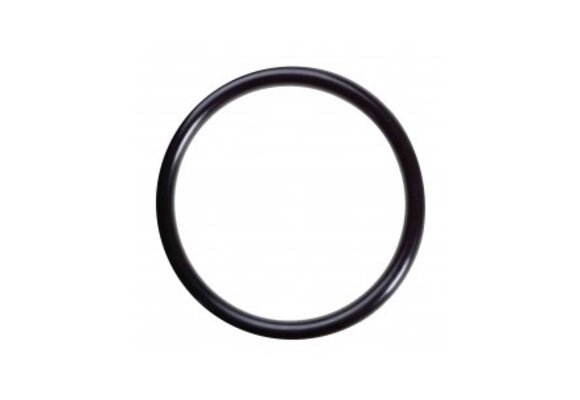 Filter o-ring voor ontluchter Kripsol Granada