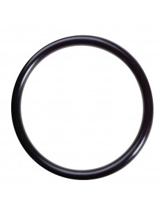 Filter o-ring voor ontluchter Kripsol Granada (alleen o-ring)