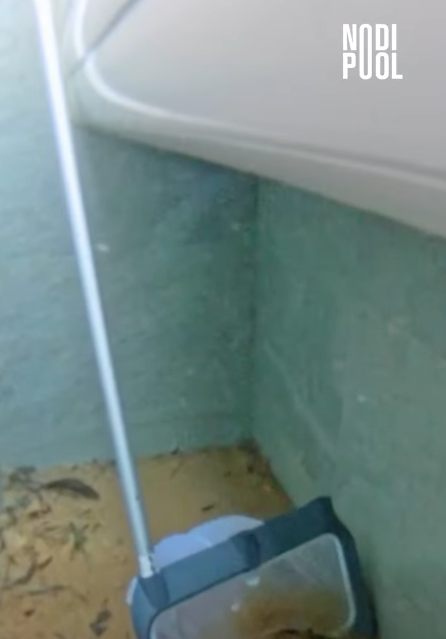 Nodipool Nodi + | Zwembad schepnet 3 in 1