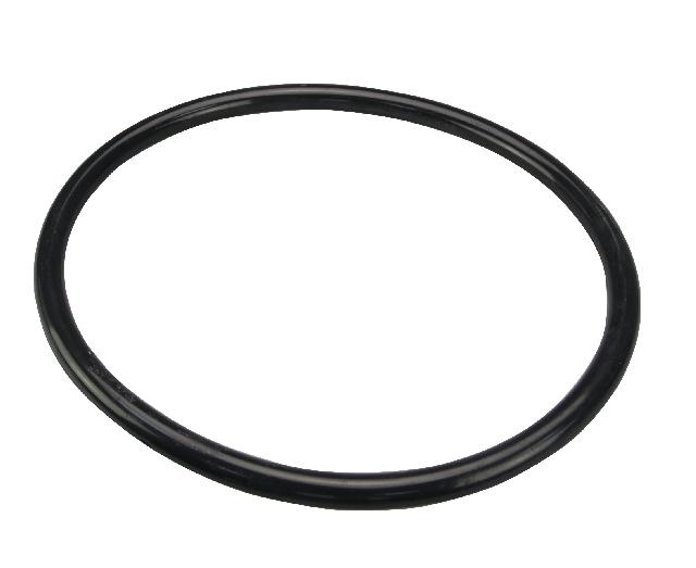 O-ring voor filterpomp bestclean
