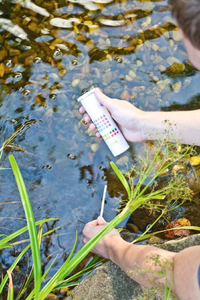 Heissner vijver testset 6-1 (50 teststrips)