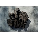 Black Ranch Quebracho Blanco Paraguay Houtskool - 15 kg