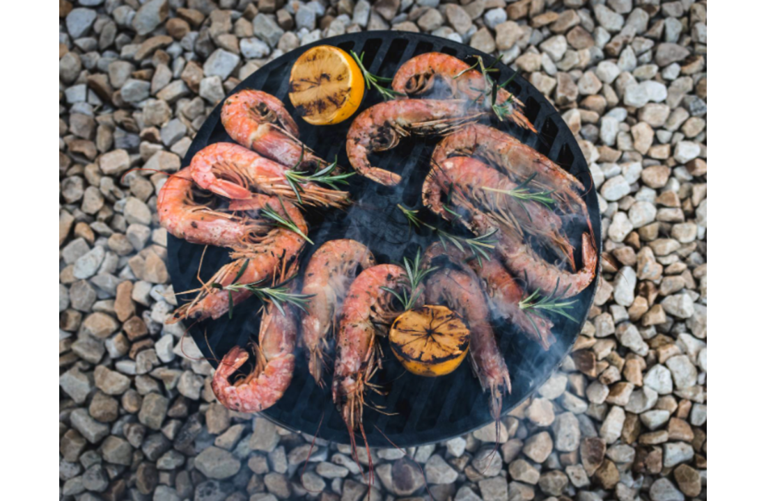 The Windmill gietijzeren grillrooster