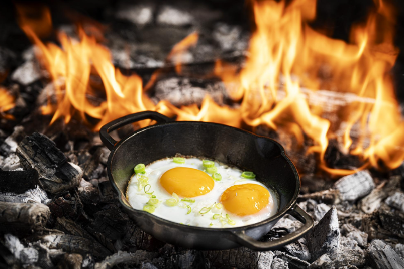 The Windmill gietijzeren skillet 2 handvaten S