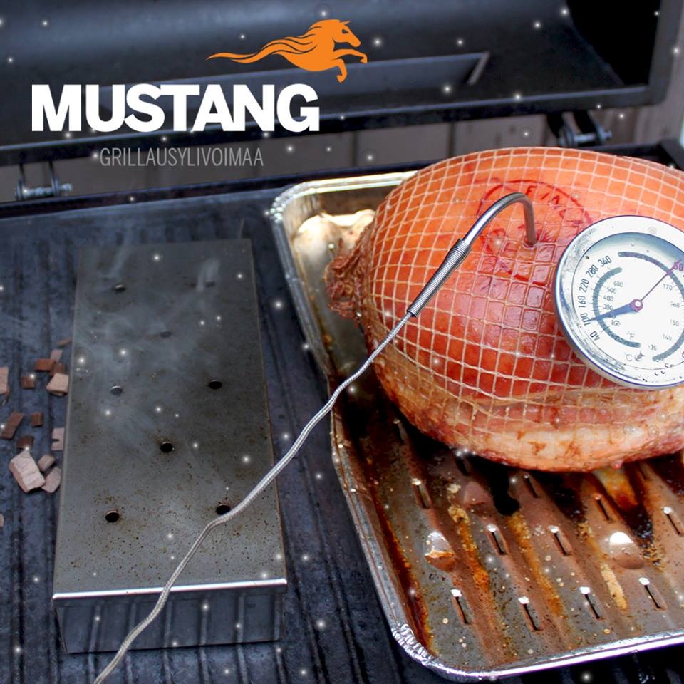 Mustang Rook Aroma Box - Smoker