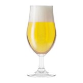 HappyGlass Mister Gustav Bierglas -Set van 2 Kunststof Glazen 500ml
