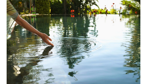 Vijveraccessoires en benodigdheden | Filtratie, onderhoud & decoratie