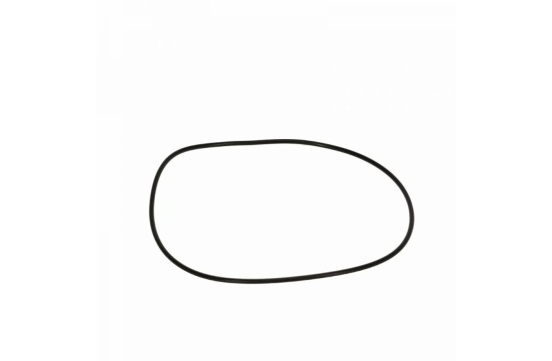 Fitstar Pomphuis O-ring ø 132 x 2,5 mm
