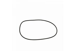Fitstar Pomphuis O-ring ø 132 x 2,5 mm