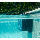 Dolphin EON Smart Zwembadrobot - Draadloos