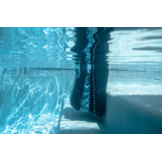 Dolphin EON Comfort Zwembadrobot - Draadloos