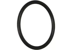 Hayward Max Flo II O-ring pomp koppeling
