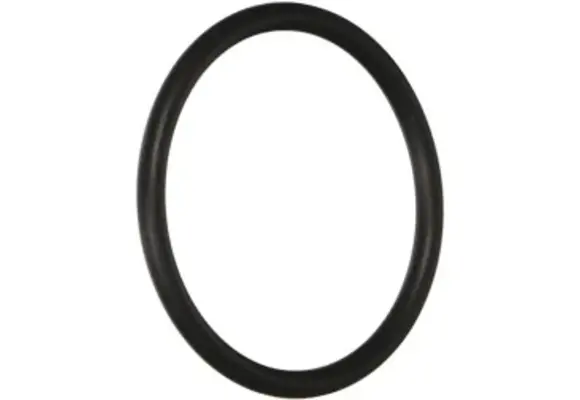 Hayward Max Flo II O-ring pomp koppeling