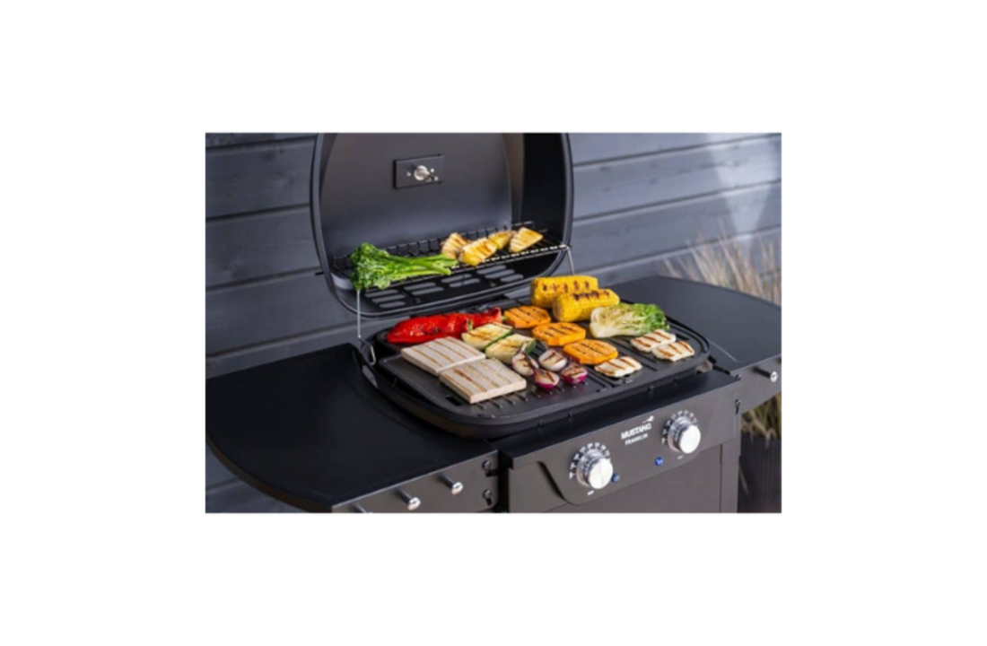 Mustang Elektrische BBQ Franklin