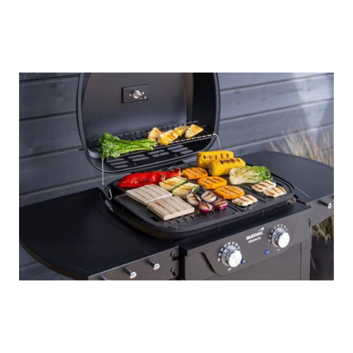 Mustang Elektrische BBQ Franklin