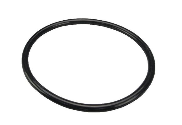 Bestway O-ring voor zandfilter topmount