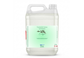 SaunAroma Sauna opgietmiddel Eucalyptus 5 Liter