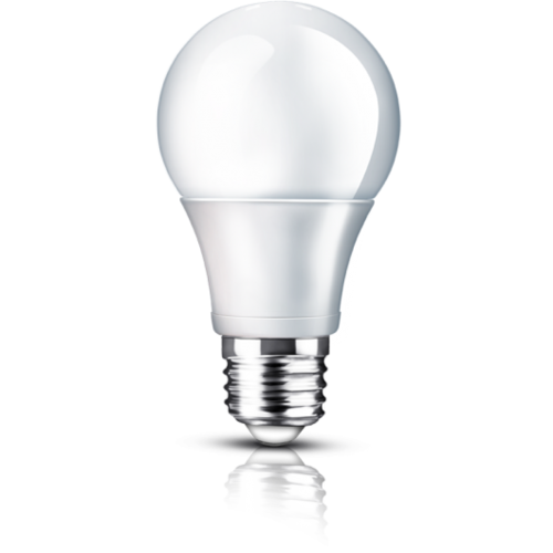 E27 | 10W Led Lamp A60 | 6400K Koud Wit