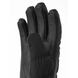 Hestra Luomi Czone Female 5 Finger - Black Hestra Luomi Czone Female 5 Finger - Black