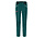 Westalpen Softshell Pants - Pacific Green