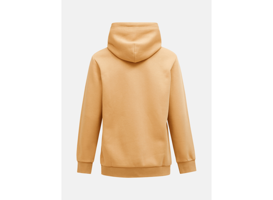 Men's Original Small Logo Hood