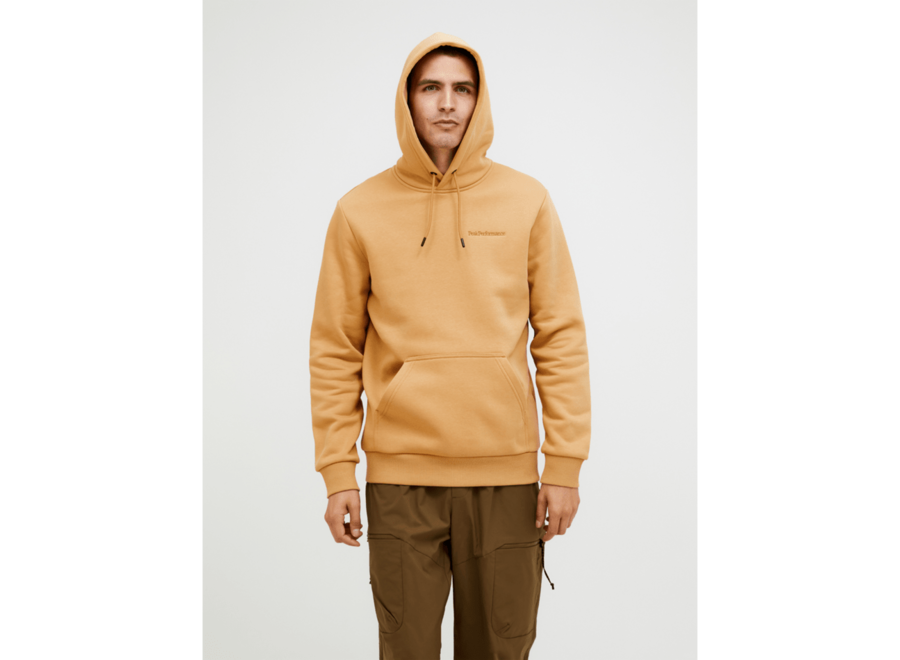 Men's Original Small Logo Hood