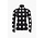Lunaria ski pully